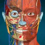 Anatomy Learning 3D Anatomy IPA Logo