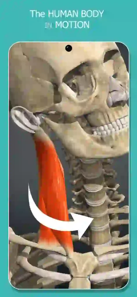 Anatomy Learning 3D Anatomy IPA iOS Latest