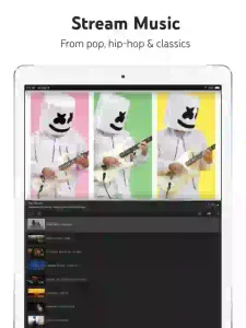 YouTube Premium IPA Latest Download
